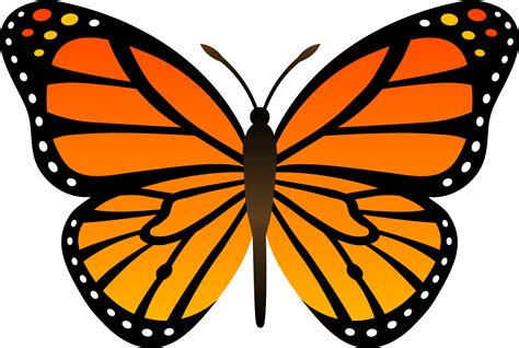 Fold the paper in half, and press (squish) the paint to make it spread. . Clip art monarch butterfly